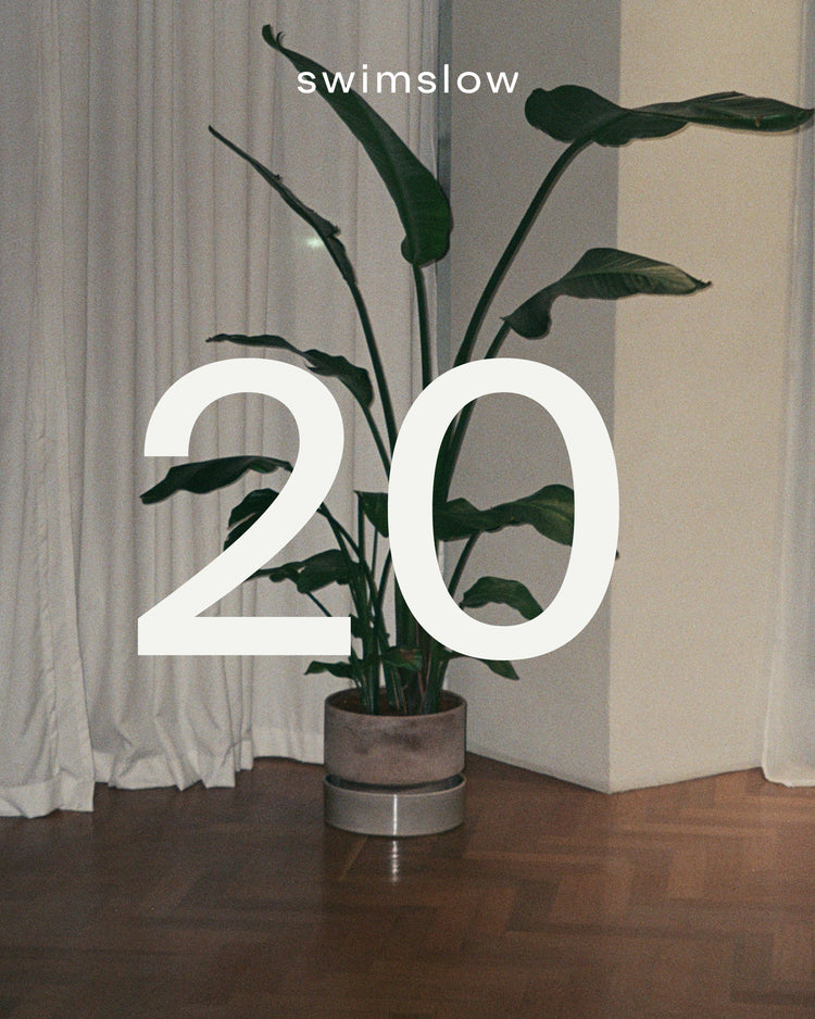 20 skipti