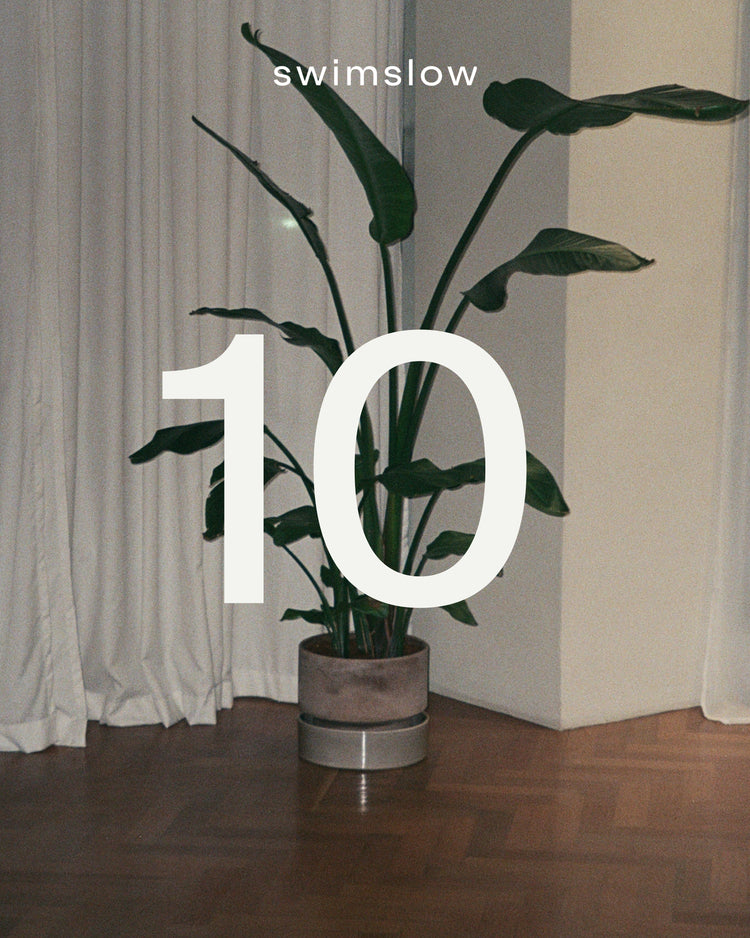 10 skipti