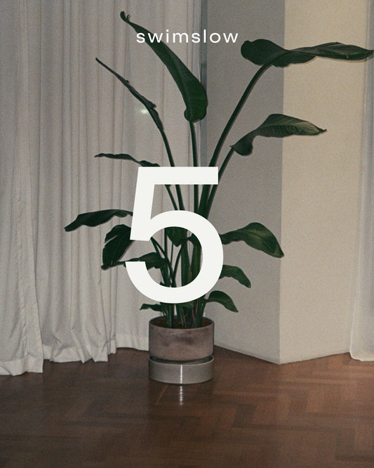 5 skipti